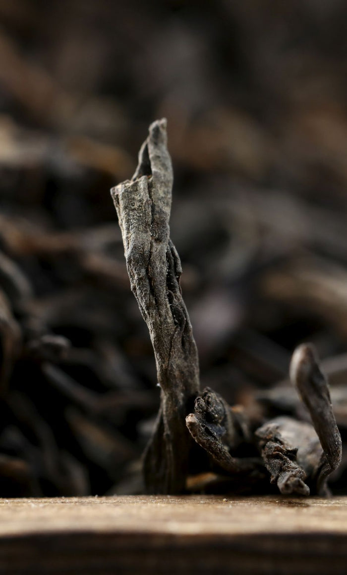 2001 Te Ji Grade "Chen Xiang" Aged Liu Bao Tea | Yunnan Sourcing Tea Shop