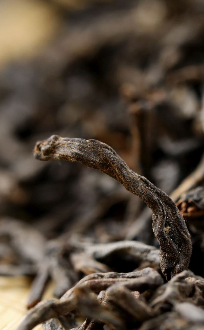 2001 Te Ji Grade "Chen Xiang" Aged Liu Bao Tea | Yunnan Sourcing Tea Shop
