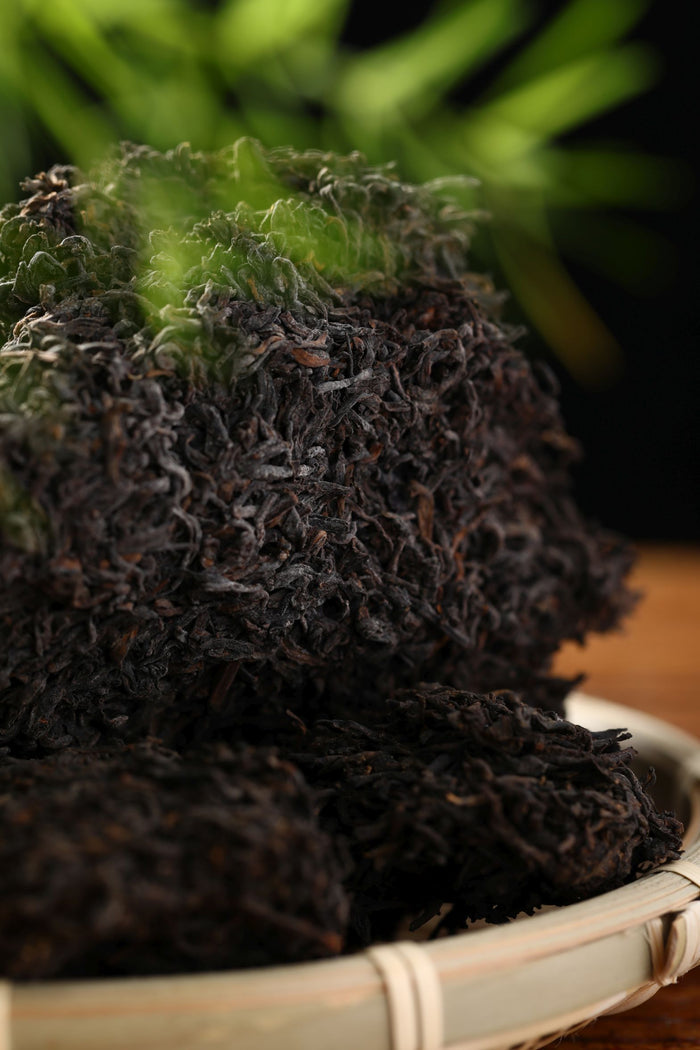 2016 Cang Mountain "7105 Golden Flowers" Liu Bao Tea