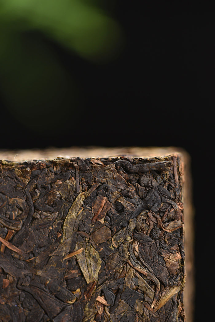 2018 Mojun Fu Cha "Chen Xiang Wan Yan" Fu Brick Tea | Yunnan Sourcing Tea Shop