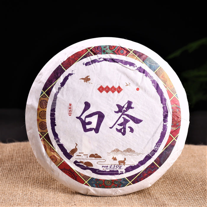 2019 Jinggu Yang Ta Camellia Taliensis White Tea Cake | Yunnan Sourcing Tea Shop