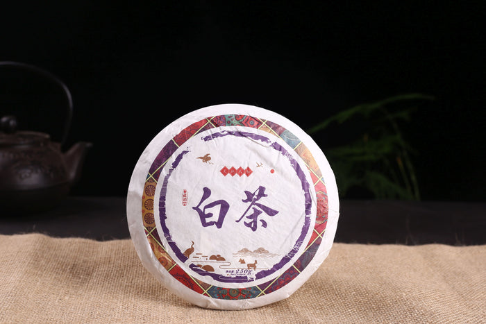 2019 Jinggu Yang Ta Camellia Taliensis White Tea Cake | Yunnan Sourcing Tea Shop