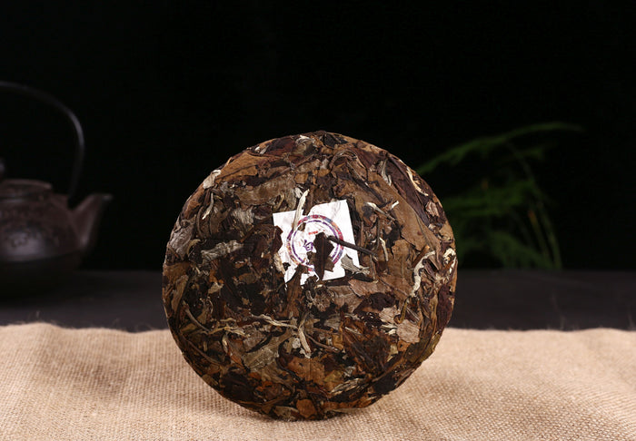 2019 Jinggu Yang Ta Camellia Taliensis White Tea Cake | Yunnan Sourcing Tea Shop
