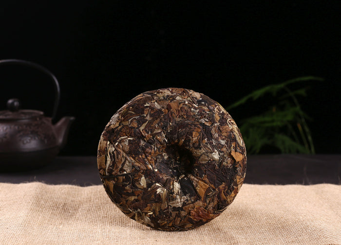 2019 Jinggu Yang Ta Camellia Taliensis White Tea Cake | Yunnan Sourcing Tea Shop