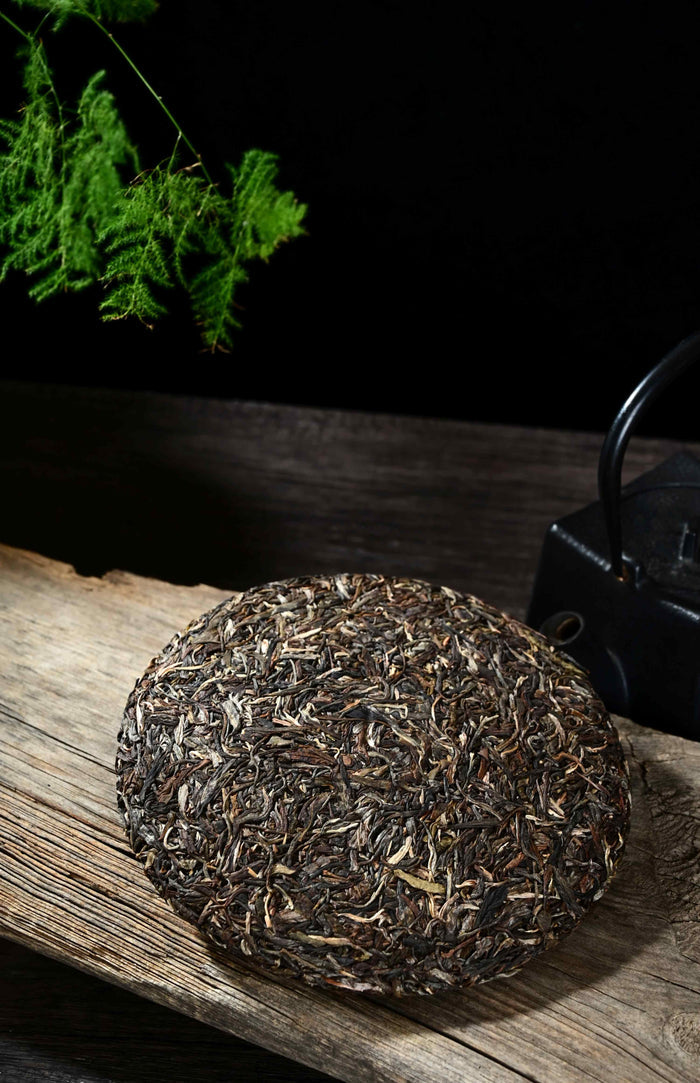2020 Yunnan Sourcing "Aged Bu Lang Mountain" Raw Pu-erh Tea Cake | Yunnan Sourcing Tea Shop