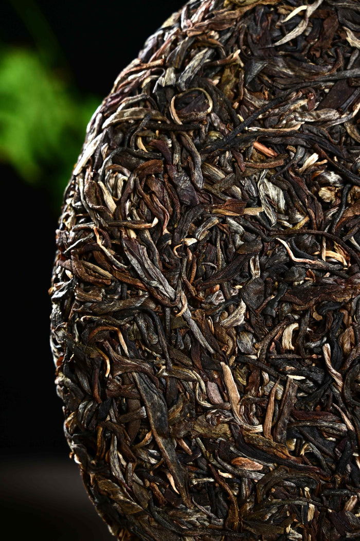 2020 Yunnan Sourcing "Aged Bu Lang Mountain" Raw Pu-erh Tea Cake | Yunnan Sourcing Tea Shop
