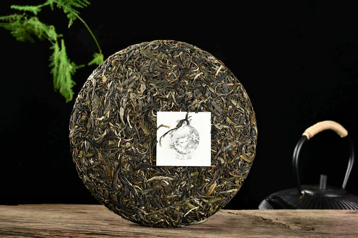 2020 Yunnan Sourcing "Autumn Jingmai Mountain" Raw Pu-erh Tea Cake | Yunnan Sourcing Tea Shop