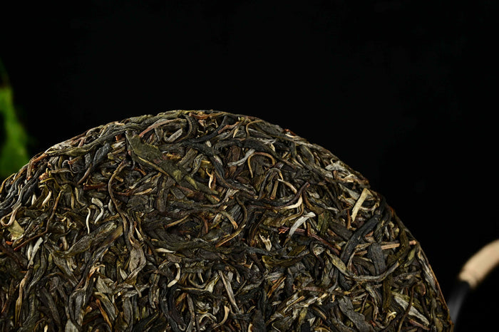 2020 Yunnan Sourcing "Autumn Jingmai Mountain" Raw Pu-erh Tea Cake | Yunnan Sourcing Tea Shop