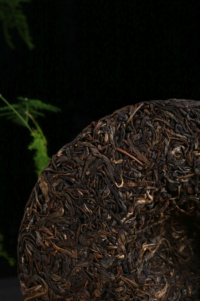 2020 Yunnan Sourcing "Gu Shu Bai Cha" Aged Raw Pu-erh Tea Cake | Yunnan Sourcing Tea Shop