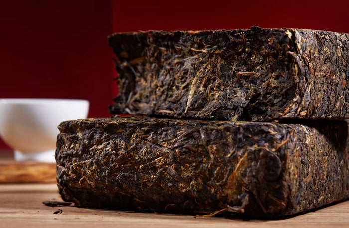 2021 Gao Jia Shan "How Awesome!" Hunan Fu Zhuan Tea | Yunnan Sourcing Tea Shop