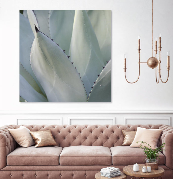 Black Tip Succulent by Karen Ussery on GIANT ART - grey botany