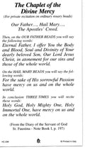 DIVINE MERCY CHAPLET - LAMINATED HOLY CARDS- QUANTITY 25 PRAYER CARDS