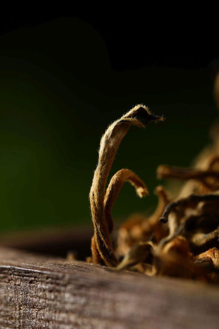 Feng Qing "Golden Pekoe #100" Dian Hong Black Tea | Yunnan Sourcing Tea Shop