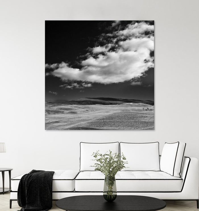 Field with Clouds by Jamie Cook on GIANT ART - white landscape