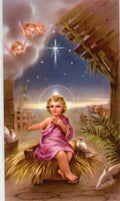 JESUS IS THE REASON- LAMINATED HOLY CARDS- QUANTITY 25 PRAYER CARDS