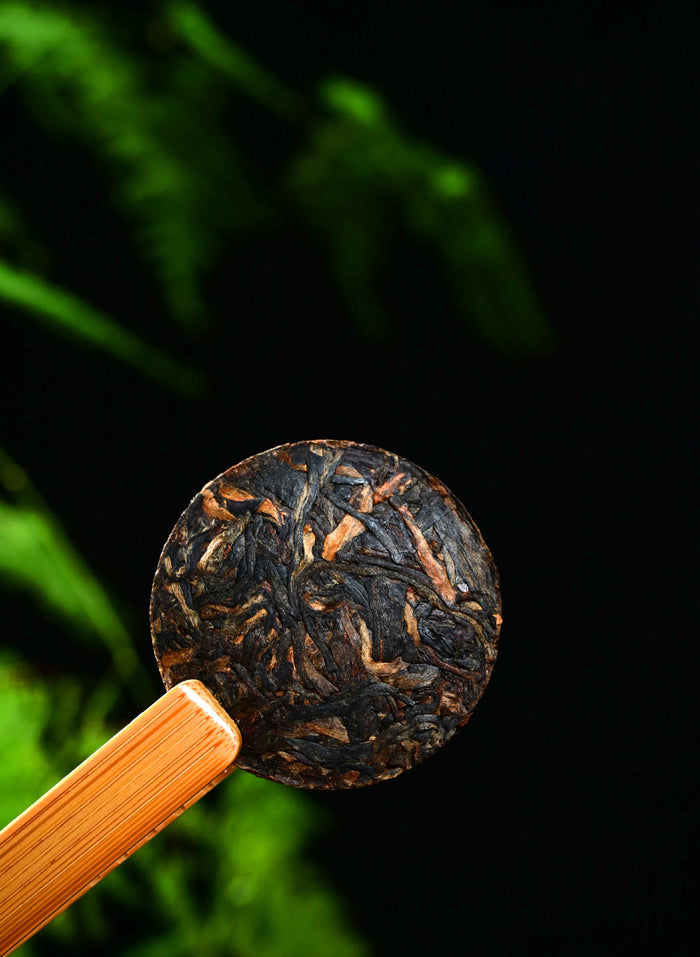 Jinggu Aged Raw Pu-erh Tea Mini Cake