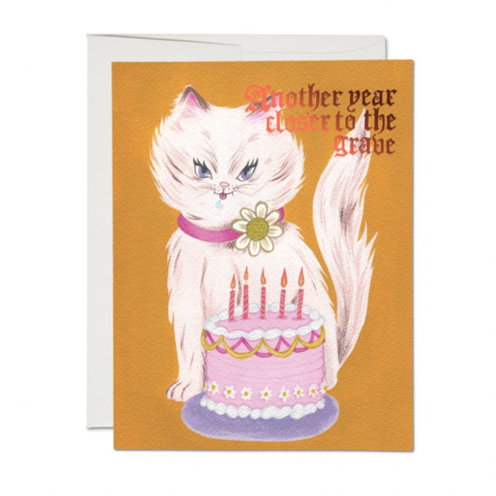 Kitty and Cake