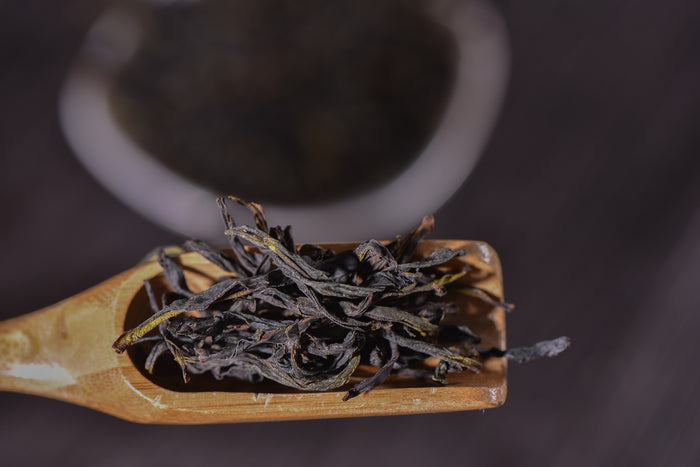 Middle Mountain "Gong Xiang" Dan Cong Oolong Tea | Yunnan Sourcing Tea Shop