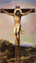 PRAYER BEFORE A CRUCIFIX - LAMINATED HOLY CARDS- QUANTITY 25 PRAYER CARDS