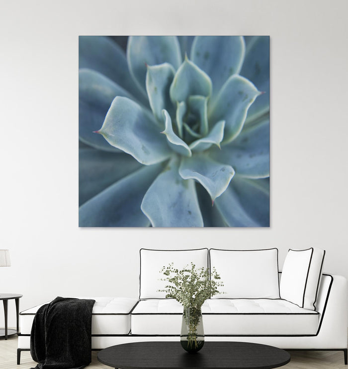Sweet Succulent by Karen Ussery on GIANT ART - blue botany